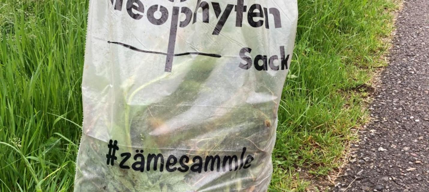 Neophytensack Aargau