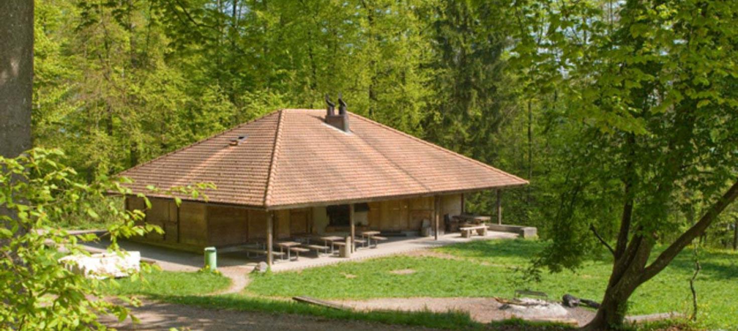 Waldhütte Beinwil am See